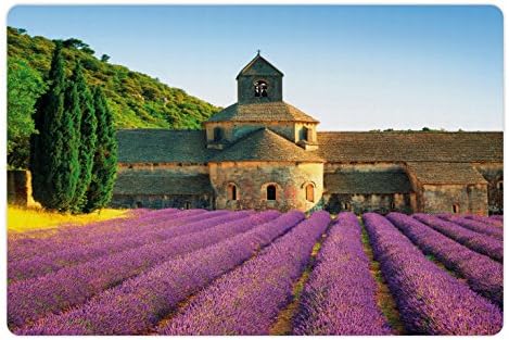 מחצלת לבנדר לחיות מחמד למזון ומים, מנזר סנאנק בצרפת אדריכלות כפרי שורות פורחות סניק, מלבן מחצלת