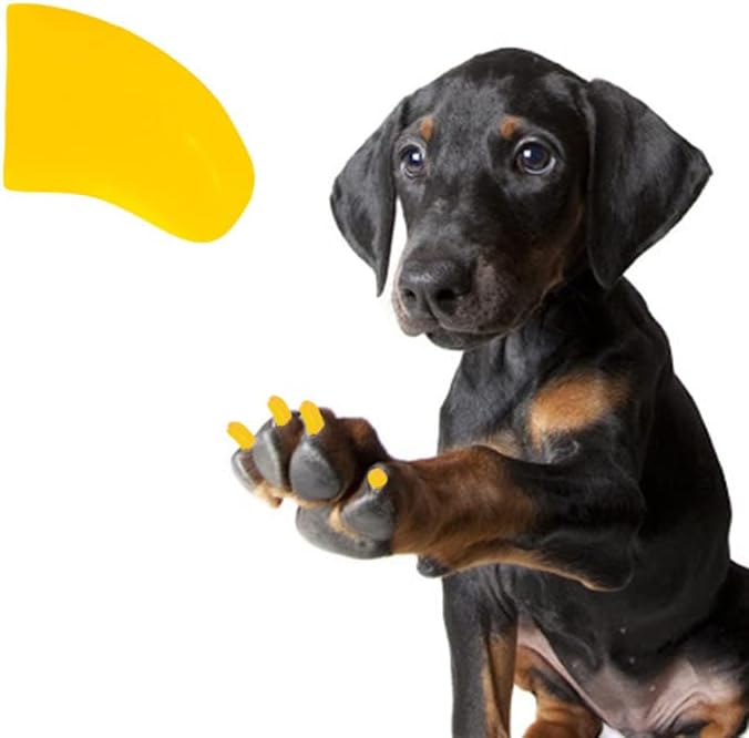 די טפרי 6 חודש אספקת רך נייל כובעי עם דבק עבור כלב טפרי-שמש צהוב ג ' מבו