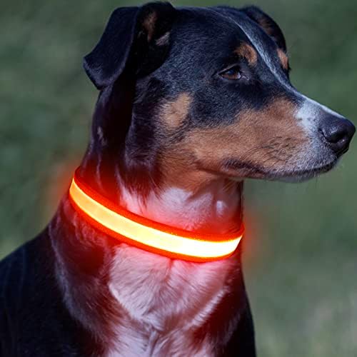 צווארון כלבים LED Vizpet USB נטען אטום למים מתכוונן צווארון כלב צווארון סופר בהיר בטיחות אור צווארונים זוהרים