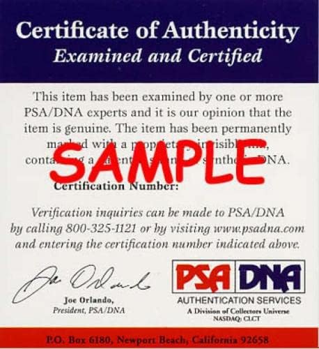 Pete Rose PSA DNA חתום 8x10 צילום חתימות אדום - תמונות MLB עם חתימה