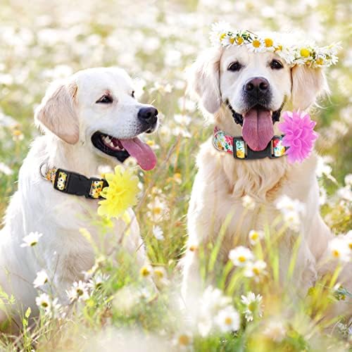 4 חבילות צווארון כלב פרחים פרחוני להסרת כלבים של נער
